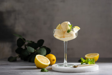 Lemon ice cream scoops with fresh citrus and mint in a glass on a marble tray. Gelateria, cafe, restaurant menu. Summer refreshing dessert. Side view, copy space
