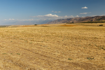 Agricultural land, field in Kazakhstan on a background of mountains