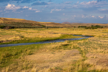landscape with wheat field and blue sky