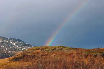 A beautiful rainbow in Iceland