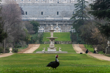 Campo Del Moro (Gardens of the royal palace) Madrid, Spain
