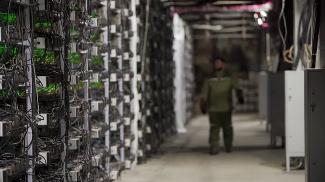 Data center diagnostics technician walks along the mining equipment racks in server room. Network administrator checks large computing cluster with network hardware. ASIC miners service engineer.