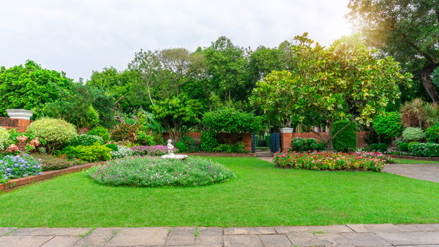 English cottage garden, flowering plant on smooth green grass lawn and group of evergreen trees in good care maintenance landscaping of a public park under white sky and sunshine morning