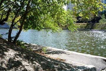 pond in the city