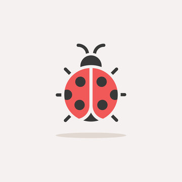 Ladybug. Color icon with shadow. Animal vector illustration
