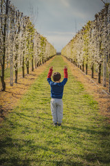 small young boy glorify trees at spring