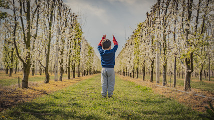 small young boy standing in the field of trees at spring