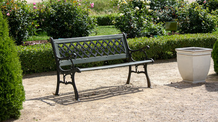 Bench in the park near the green bushes