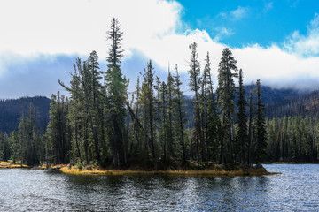 Majestic Landscape of the Trees and Lake in Yellowstone National Park, USA