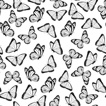 Black and white flying butterflies seamless pattern. Isolated on white background. Vector illustration.