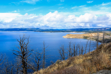 Majestic Landscape of the Trees and Lake in Yellowstone National Park, USA