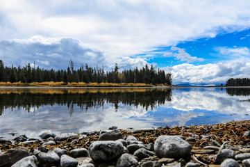 Majestic Landscape of the Trees and Lake in Yellowstone National Park, USA