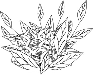 floral illustration pattern 