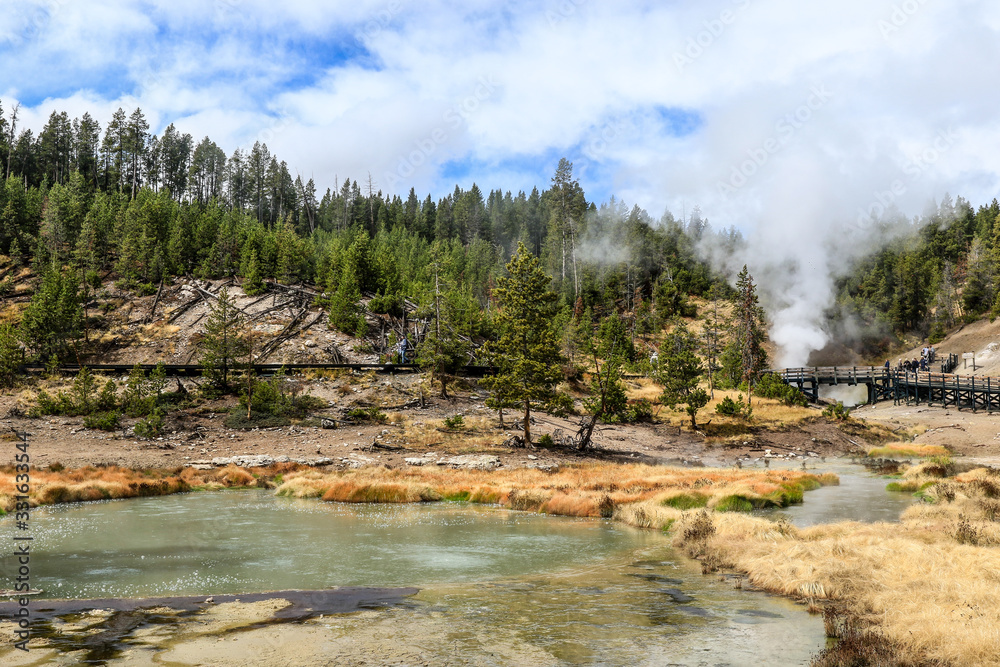 Wall mural sulfur water points in the yellowstone national park, usa