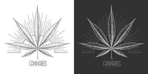 Realistic hand drawing cannabis leaf silhouette on day and night background. Vector illustration