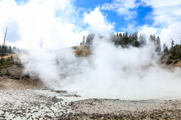 Streaming geyser basin in Yellowstone National Park, USA