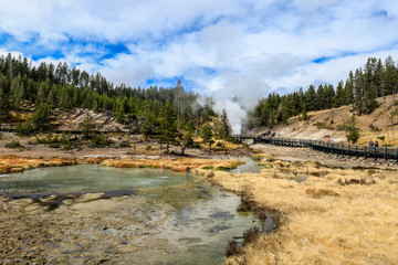 Fototapeta na wymiar Sulfur Water Points in the Yellowstone National Park, USA