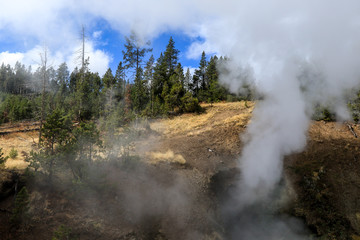 Streaming geyser basin in Yellowstone National Park, USA