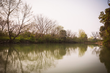 a scene from Xixi Wetland Marshes in hangzhou in China