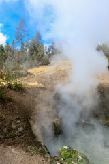 Fototapeta na wymiar Streaming geyser basin in Yellowstone National Park, USA