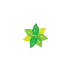 Leaf icon Vector Illustration design