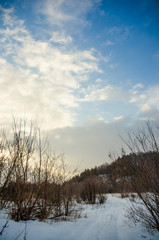 winter landscape with trees and clouds