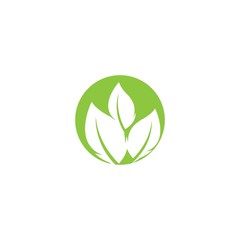 Leaf icon Vector Illustration design