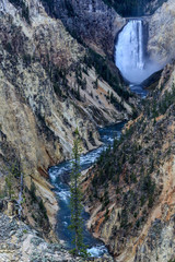 Mount River in the Forest of the Yellowstone National Park, USA