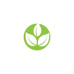 Leaf icon Vector Illustration design