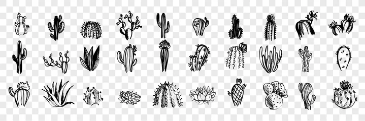 Foto op Canvas Doodle, sketch, hand drawn cactuses set collection © drawlab19