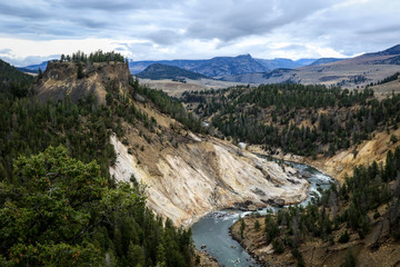 Mount River in the Forest of the Yellowstone National Park, USA