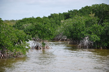 Everglades National Park, Florida