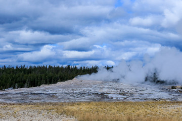 Streaming geyser basin in Yellowstone National Park, USA