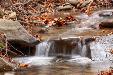 A wild mountains stream flowing down the hill among rocks and red fallen leaves in the autumn (close-up) © Pawel Sidlo