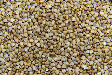 Brown dry uncooked buckwheat seeds macro. Healthy Russian food. Natural buckwheat grain background. 