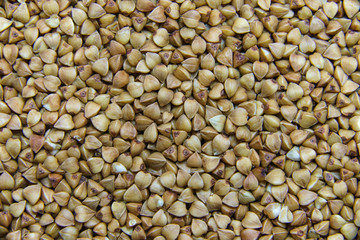 Brown dry uncooked buckwheat seeds macro. Healthy Russian food. Natural buckwheat grain background. 