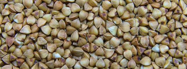 Brown dry uncooked buckwheat seeds macro. Healthy Russian food. Natural buckwheat grain background. 
