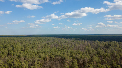 Fototapeta na wymiar Top view of the forest on a sunny day. The shadow of the clouds on the crowns of trees