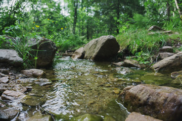 Naklejka na ściany i meble Alpine meadows Taganay