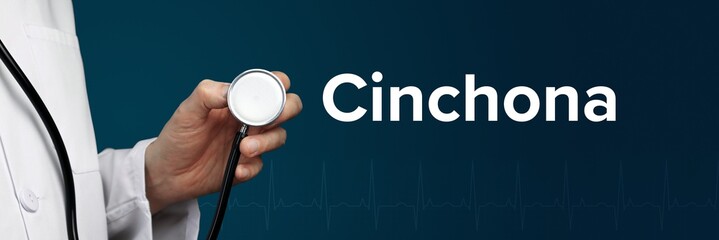 Cinchona. Arzt im Kittel hält Stethoskop. Das Wort Cinchona steht daneben. Symbol für Medizin,...