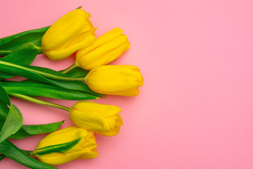Yellow tulips flowers on a pink background. Waiting for spring. Happy Easter card. Flat lay, top...
