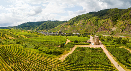 Vineyard in the Mosel Valley on a sunny and party cloudy day close to the Kloster Ruine Stuben and...