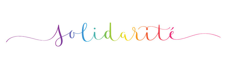 Bannière calligraphique vecteur SOLIDARITE