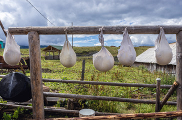 Romanian cheese made in traditional way in a Rodna mountains near Borsa town, Romania