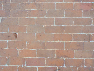 Old brick wall for background.