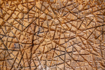 Cuts and carves on wood structure, texture close up, macro