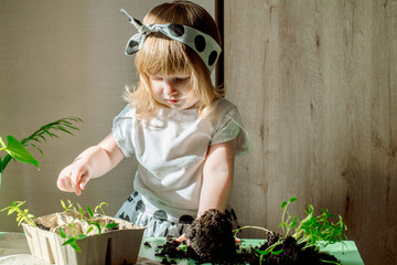 Little baby girl gardener with plants in the room at home. Transplants flowers. Watering and caring...