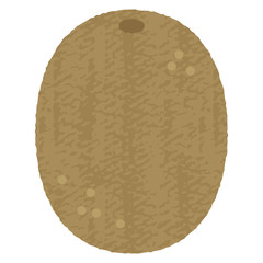 手描き風かわいいキウイ-Kiwi illustration
