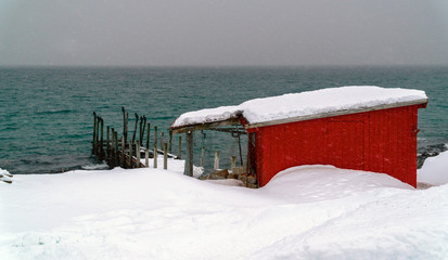 Hvaloya, Troms og Finnmark / Norway - : Birds in a wooden pier while it snows in winter