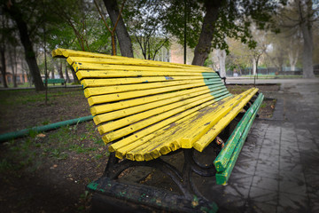 Old wooden bench in park 